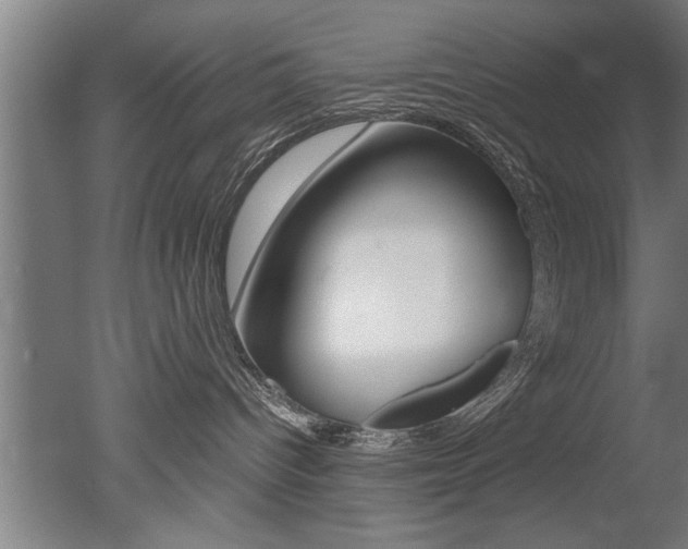 X0000051240096200506170827
