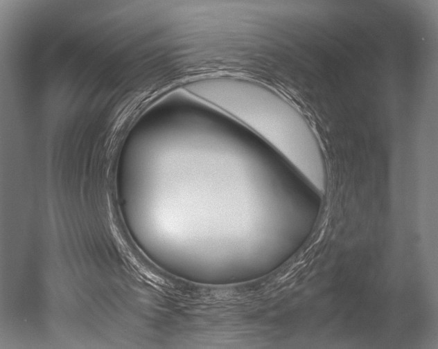 X0000051240097200506170826