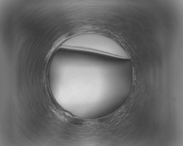 X0000051240099200506170826