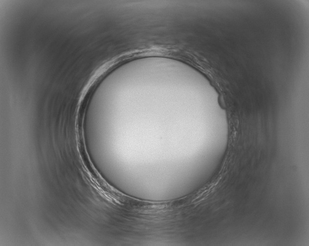 X0000051240102200506170826