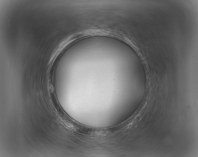 X0000051240103200506170826