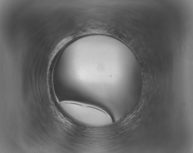 X0000051240104200506170826