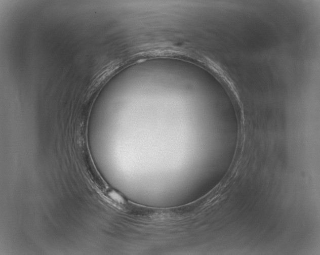 X0000051240105200506170826