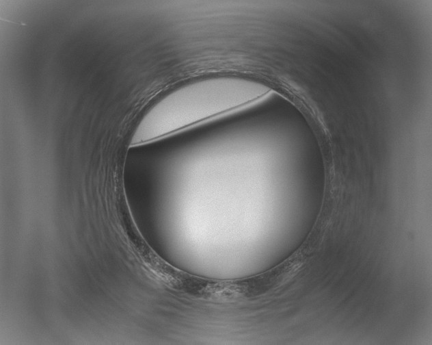X0000051240113200506170826