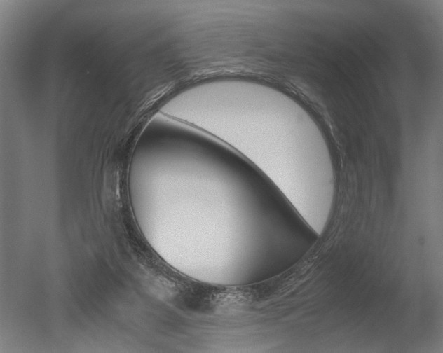 X0000051240115200506170826