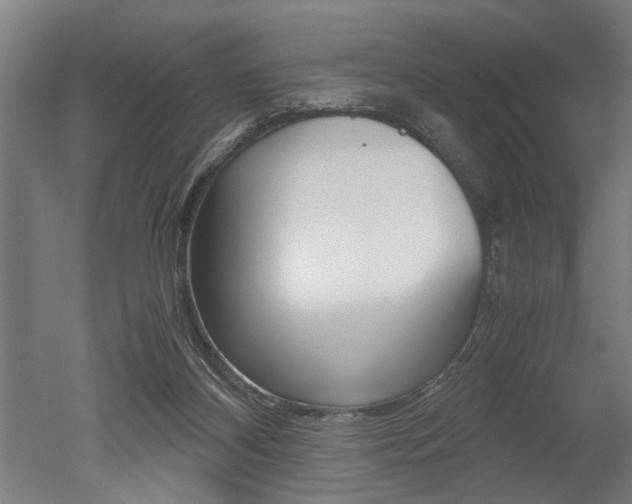 X0000051240116200506170826