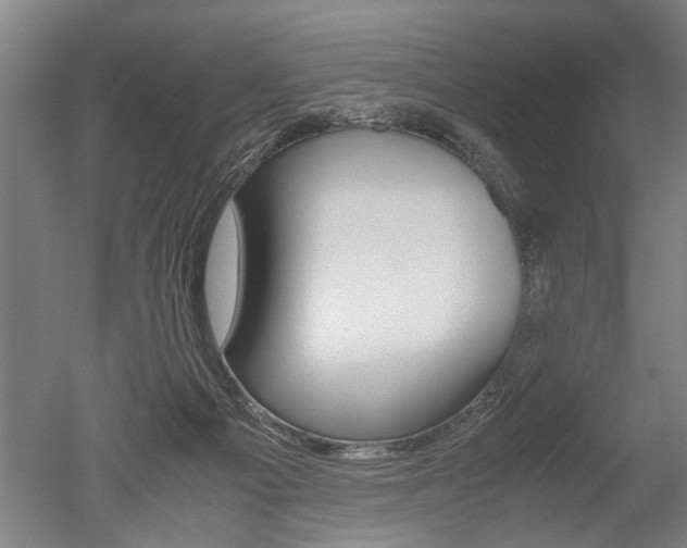 X0000051240121200506170826
