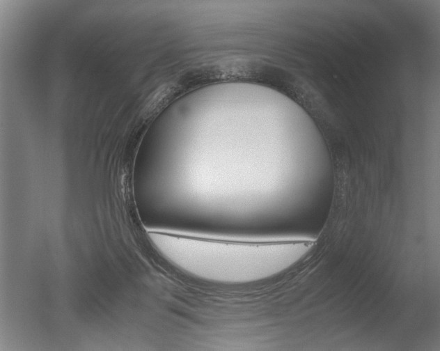 X0000051240123200506170826