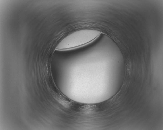 X0000051240128200506170826