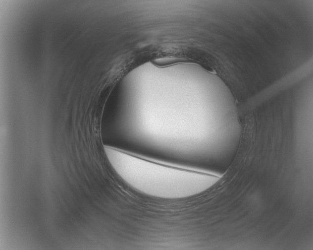 X0000051240135200506170826