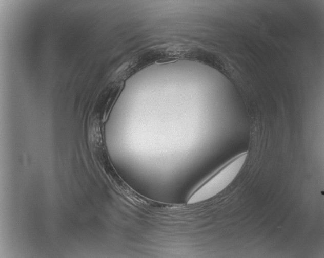 X0000051240137200506170825