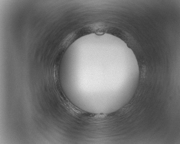 X0000051240138200506170825