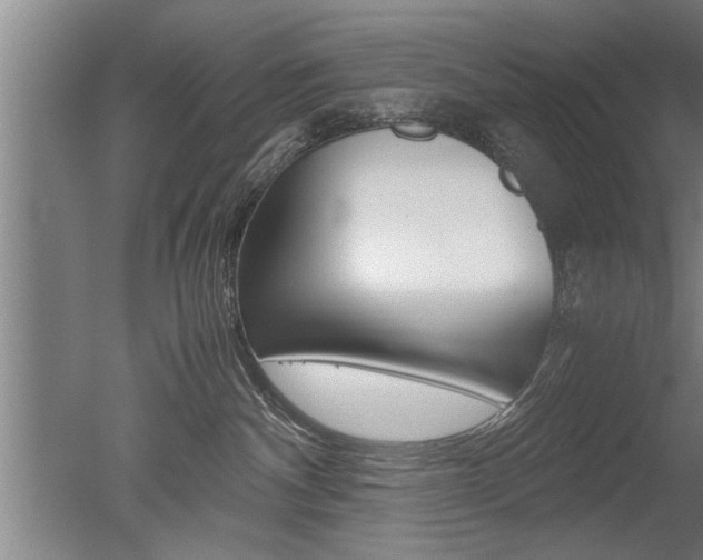 X0000051240140200506170825