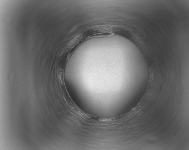 X0000051240141200506170825