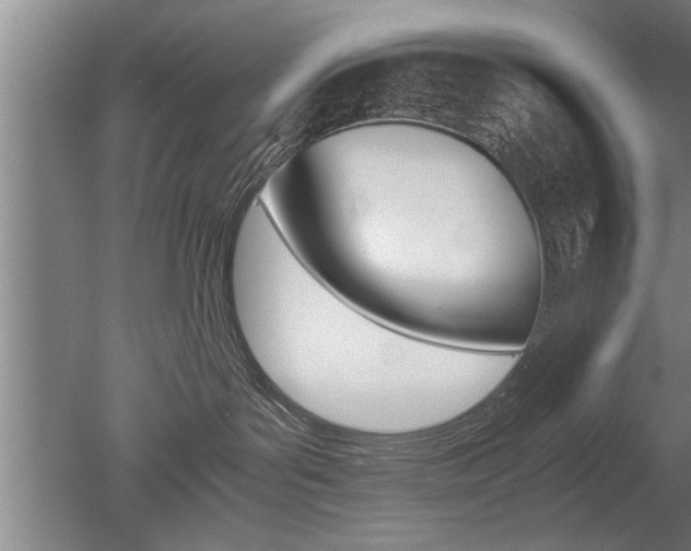 X0000051240143200506170825