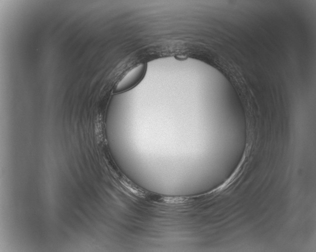 X0000051240144200506170825