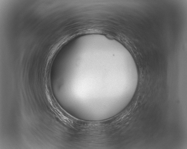 X0000051240145200506170825