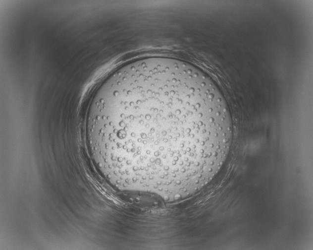 X0000051240149200506170825