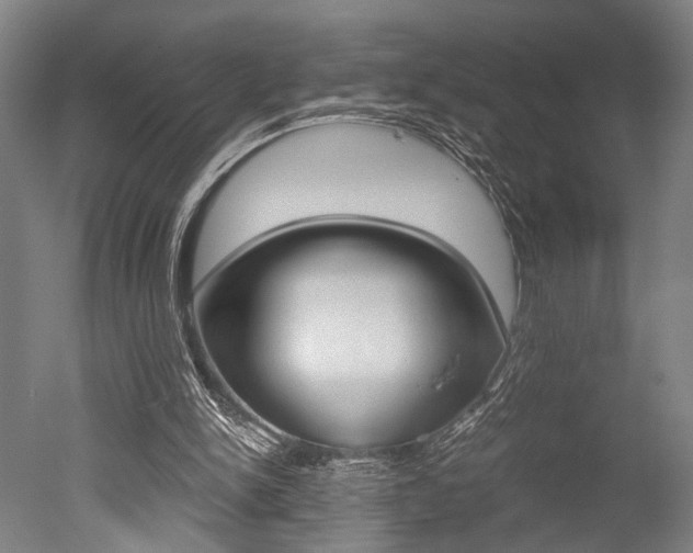 X0000051240150200506170825