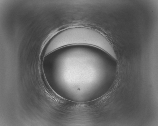 X0000051240152200506170825