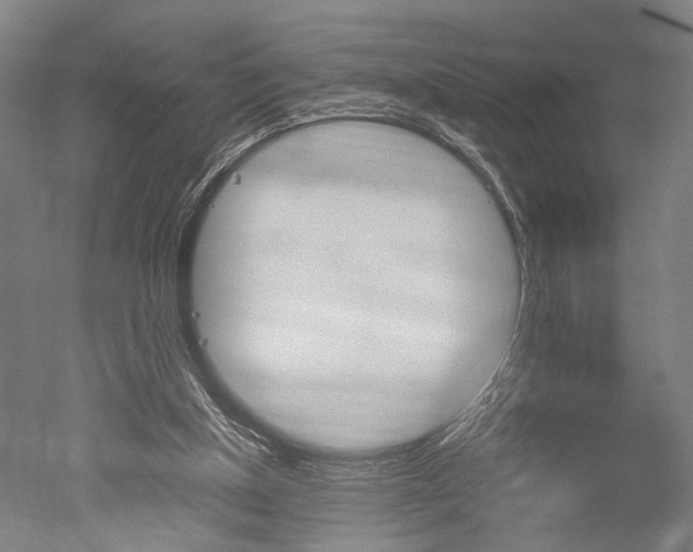 X0000051240154200506170825
