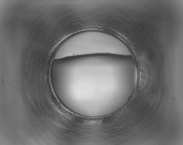 X0000051240155200506170825