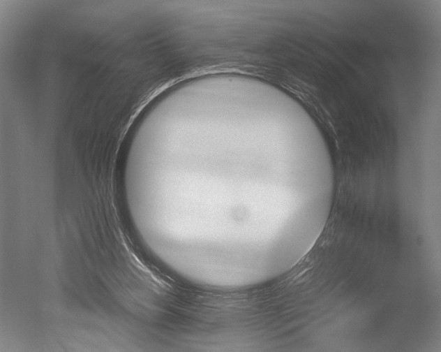 X0000051240156200506170825