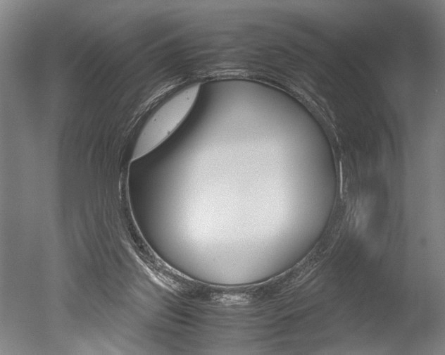 X0000051240157200506170825