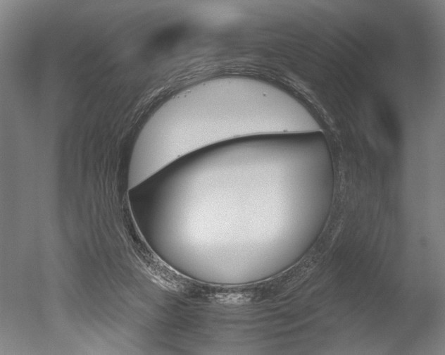 X0000051240161200506170825