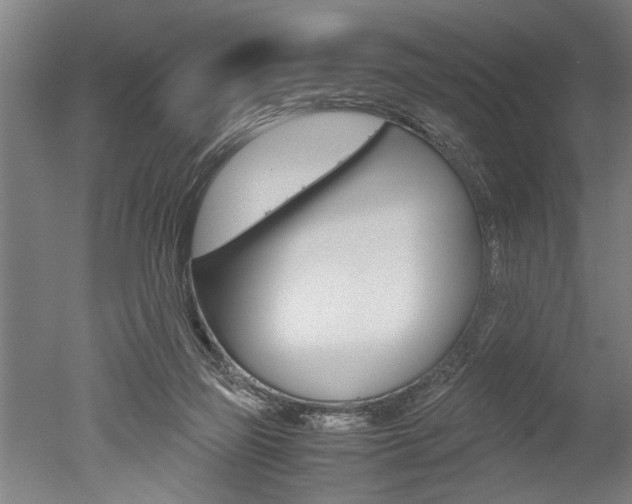 X0000051240165200506170825