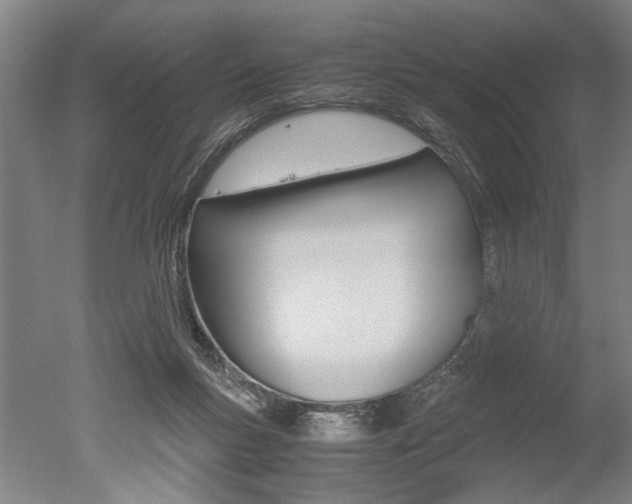 X0000051240167200506170825