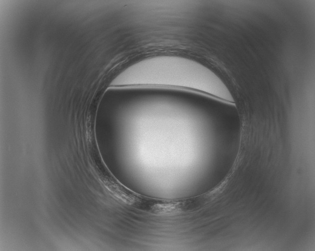 X0000051240170200506170825
