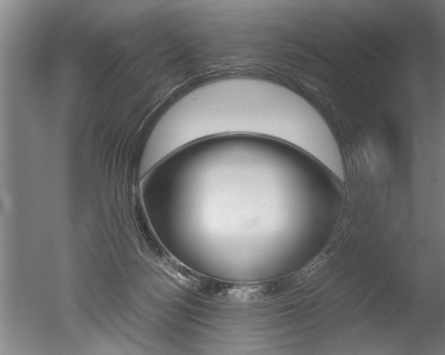 X0000051240172200506170825