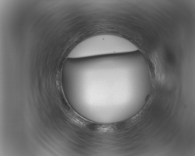 X0000051240175200506170825