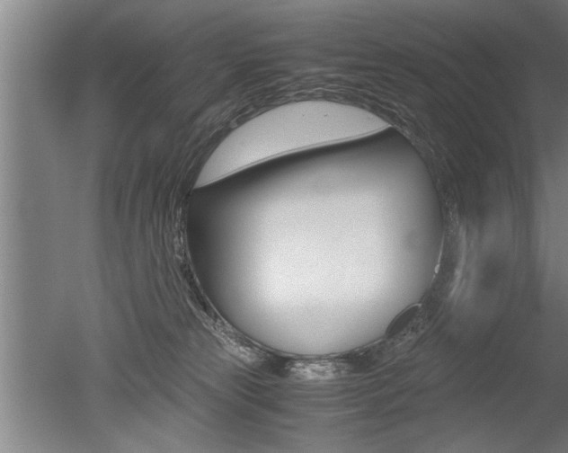 X0000051240181200506170825