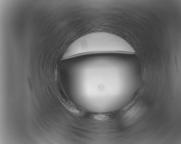 X0000051240183200506170825