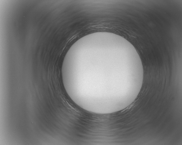 X0000051240188200506170825