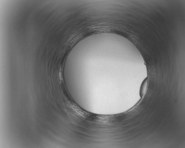 X0000051240190200506170825
