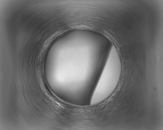 X0000051240193200506170825