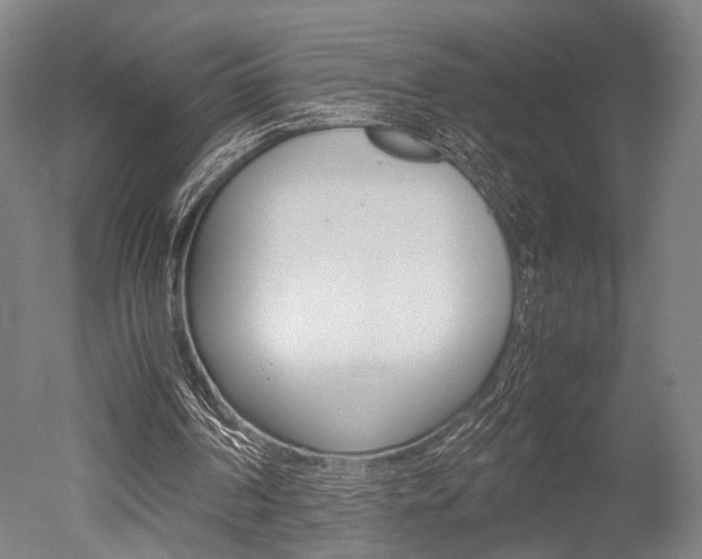 X0000051240194200506170825