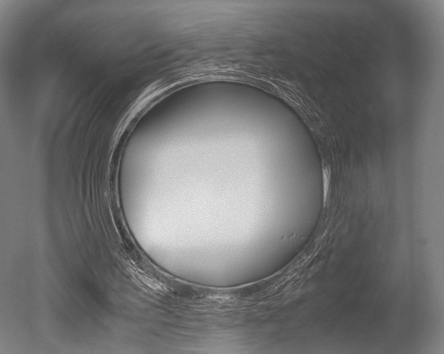 X0000051240195200506170824