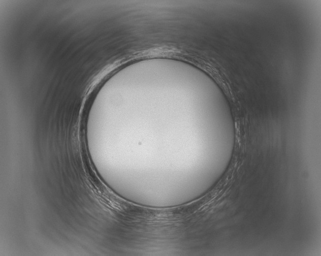X0000051240196200506170824