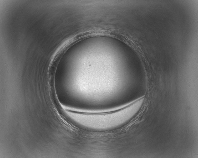 X0000051240197200506170824