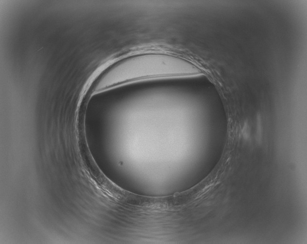 X0000051240200200506170824