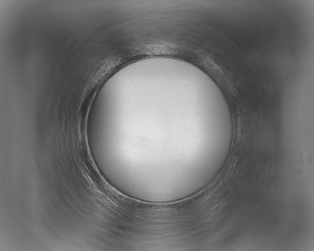 X0000051240202200506170824