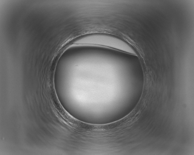 X0000051240203200506170824
