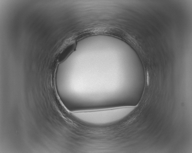 X0000051240205200506170824