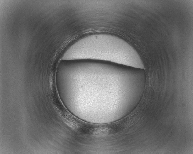 X0000051240206200506170824