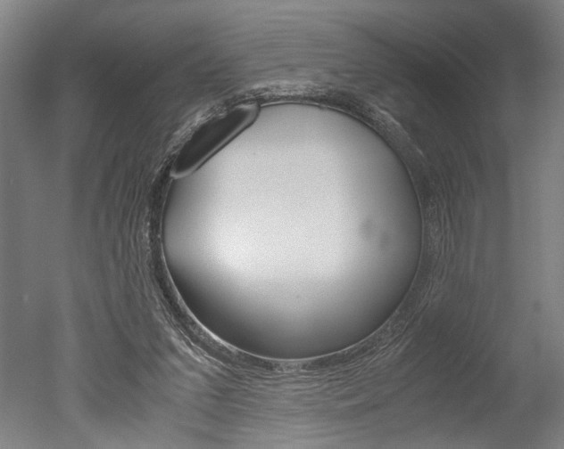 X0000051240207200506170824