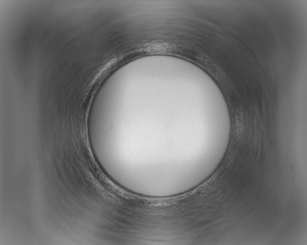 X0000051240208200506170824